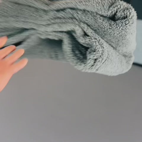 Presentation of the Love Blanket